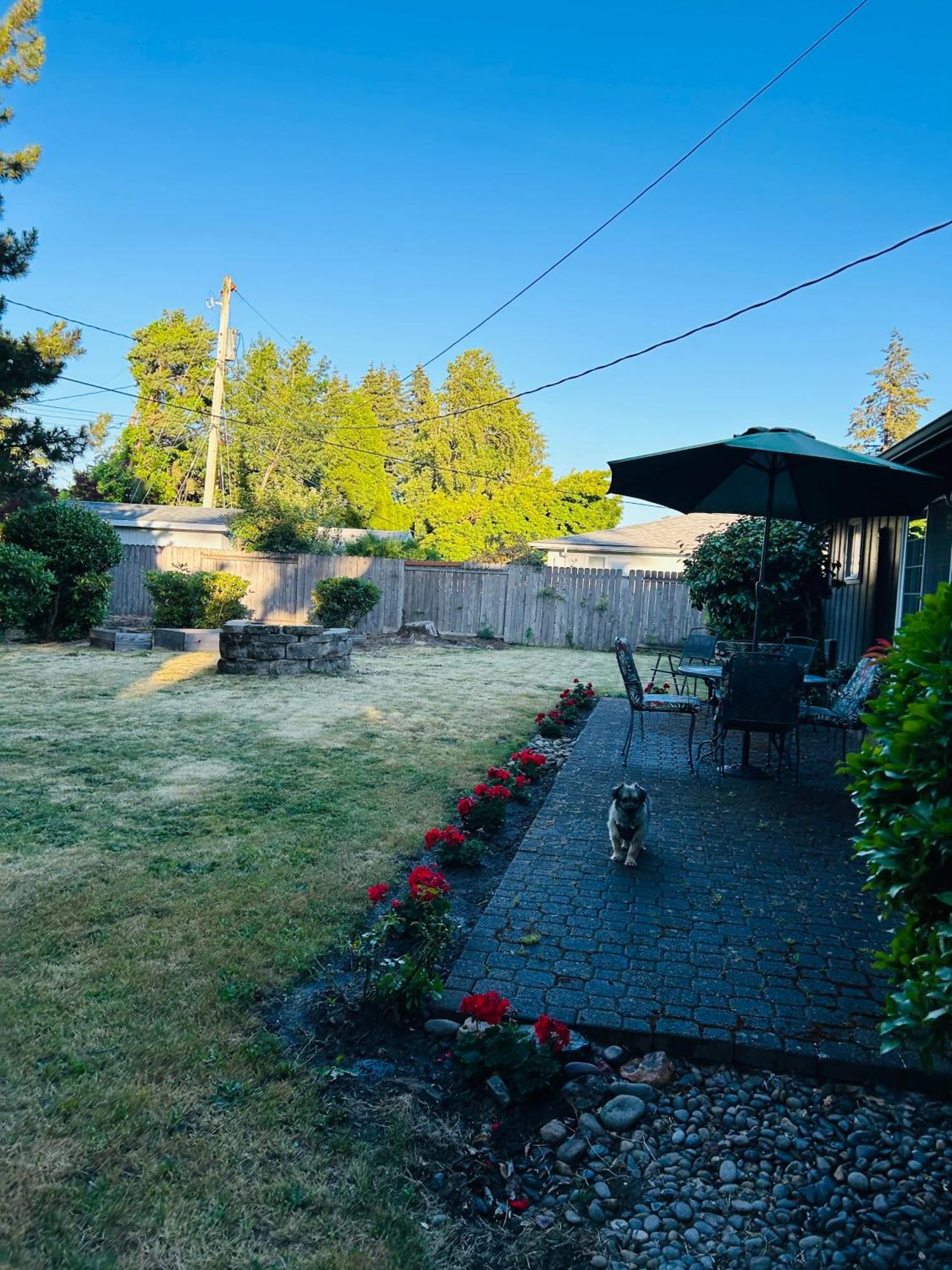 Emerald City 3 Bedroom 1 Bath Home Eugene Exteriör bild