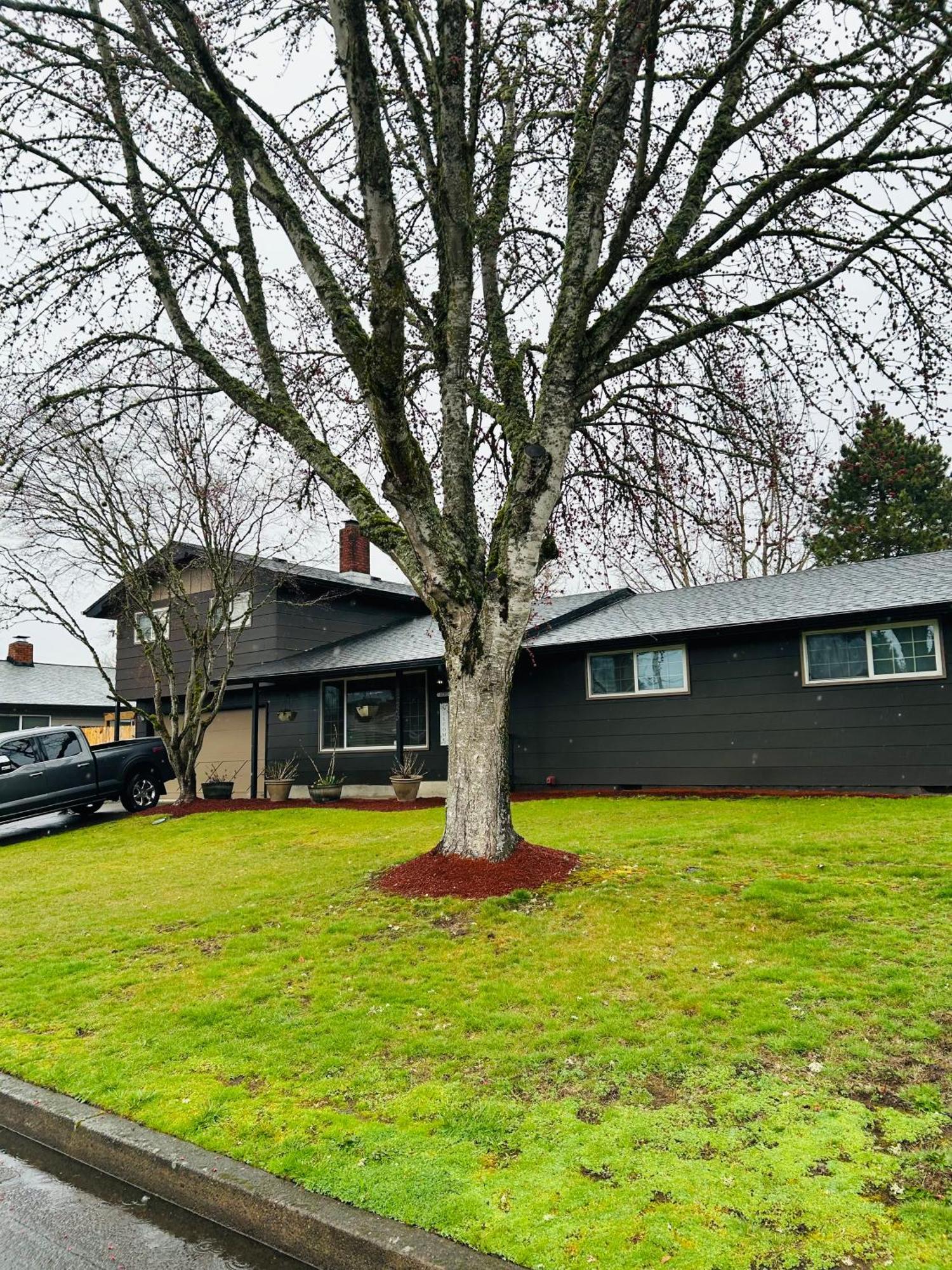 Emerald City 3 Bedroom 1 Bath Home Eugene Exteriör bild